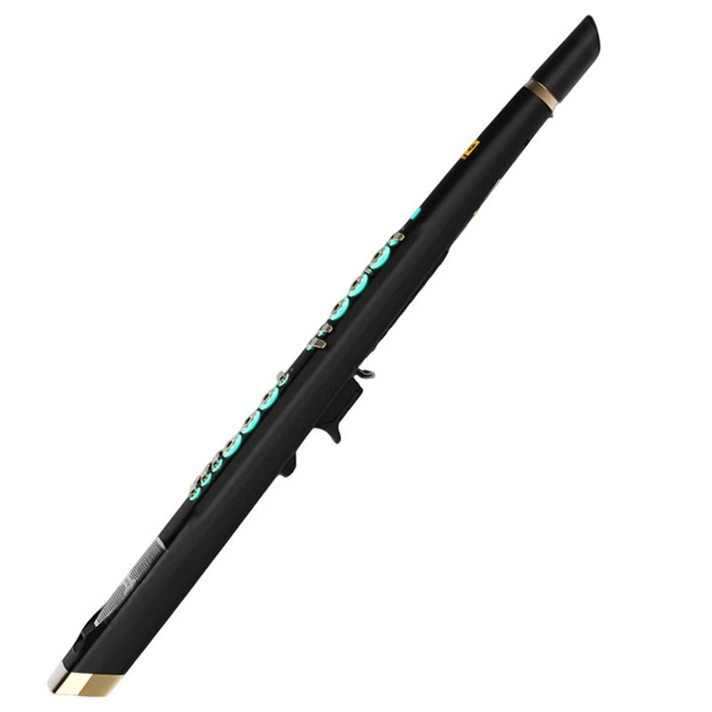 Musical Instrument You Blow - C20トゥルーサンプリング国産高級インテリジェント電動ブロー、電動サックス、フルート、ひょうたんシルク楽器