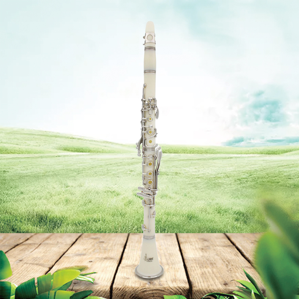 Bbクラリネット 17キー ケース付き プロ仕様クラリネット - Musical Instrument In Orchestra のレビューと価格