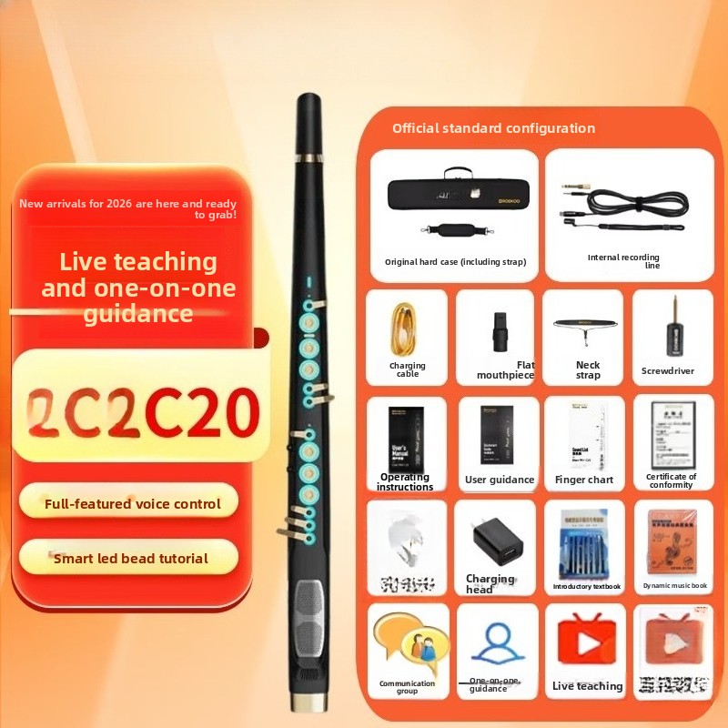 C20トゥルーサンプリング国産高級インテリジェント電動ブロー - Musical Instrument You Blow のレビューと価格