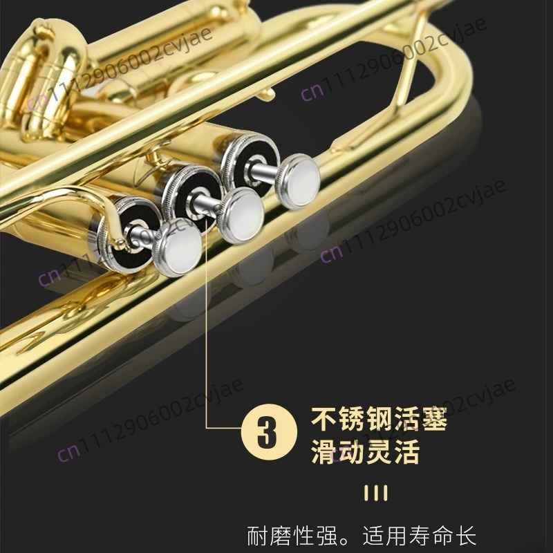 ジンバオ製トランペット楽器JBTR-300 B♭ドラムトラン - Musical Instrument Drum のレビューと価格