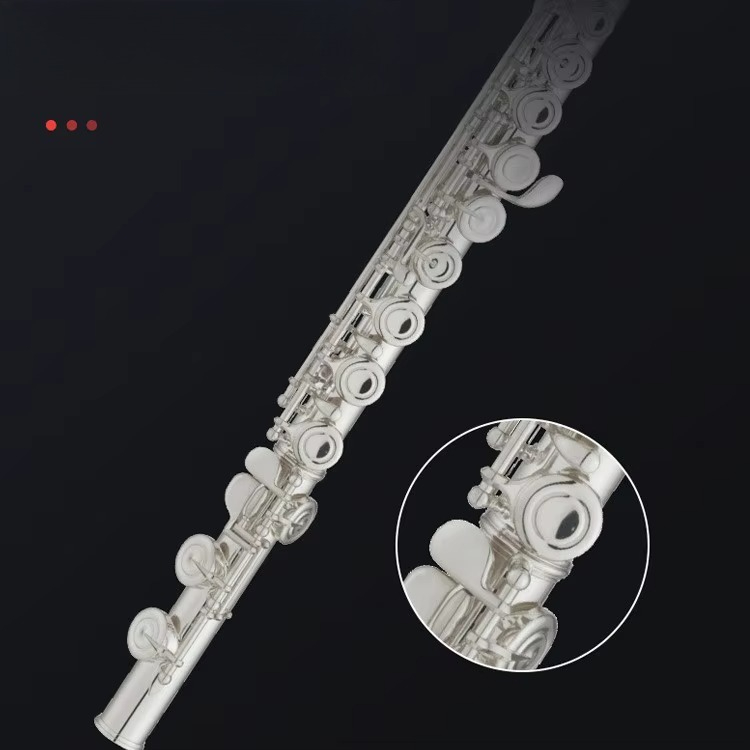 Cキー ニッケルメッキ真鍮製 プロフェッショナルフルート 木 - Musical Instrument In Orchestra のレビューと価格