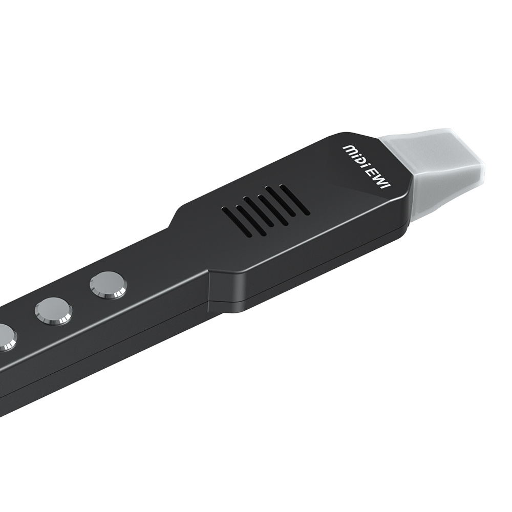 小型横笛電子管楽器スイートフルートプロフェッショナル楽器クラ - Musical Instrument Theremin のレビューと価格